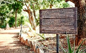 Wild Coast Tented Lodge